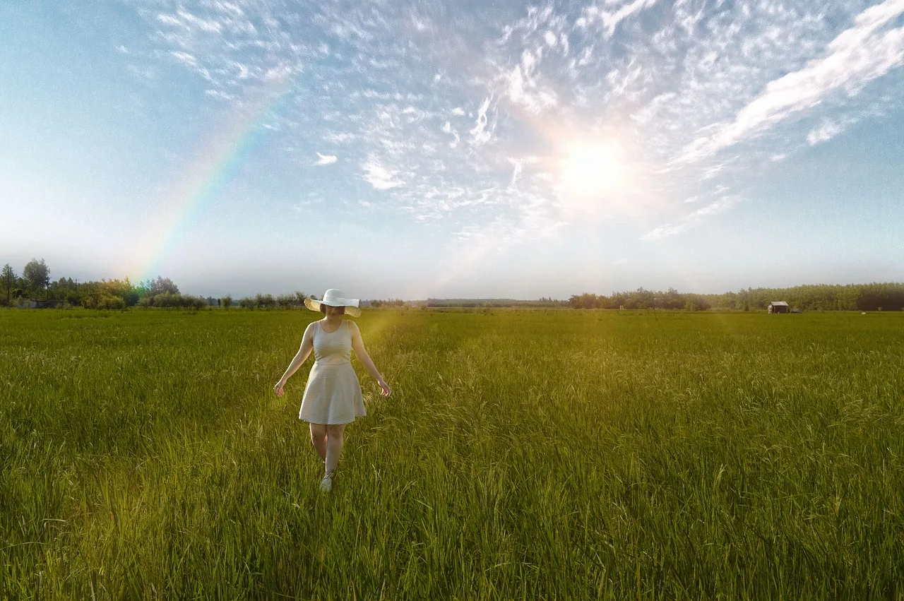 Online holistische en systemische leerweg